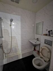 Balestier Plaza (D12), Apartment #530679691